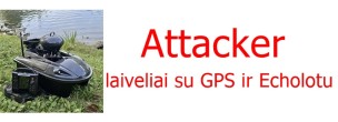 Attacker