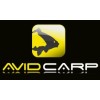 Avid Carp